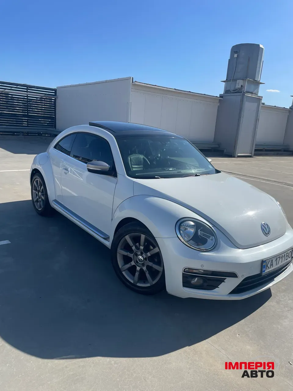 Volkswagen Beetle - фото 1