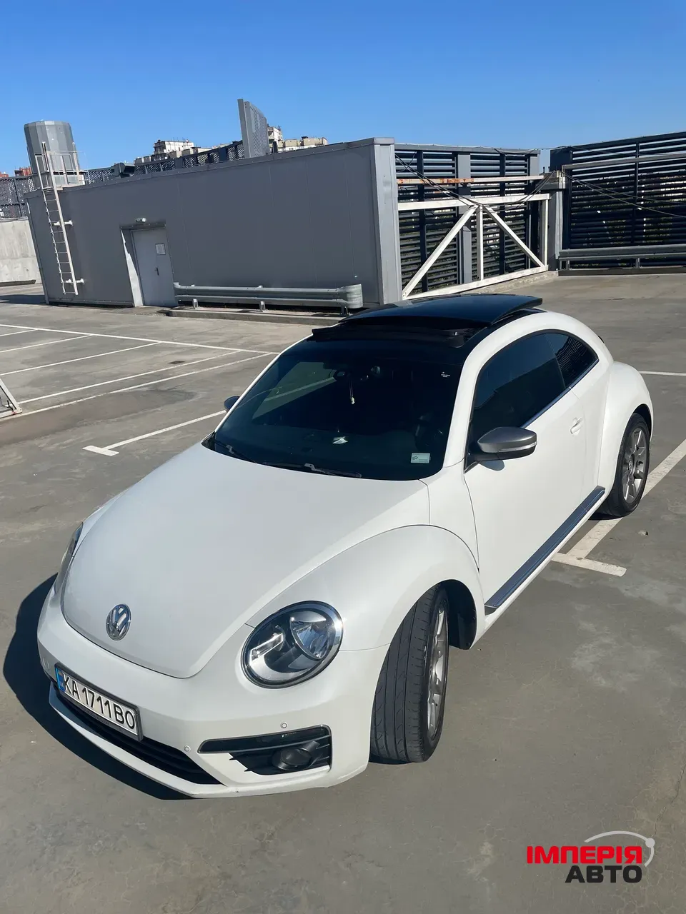 Volkswagen Beetle - фото 12