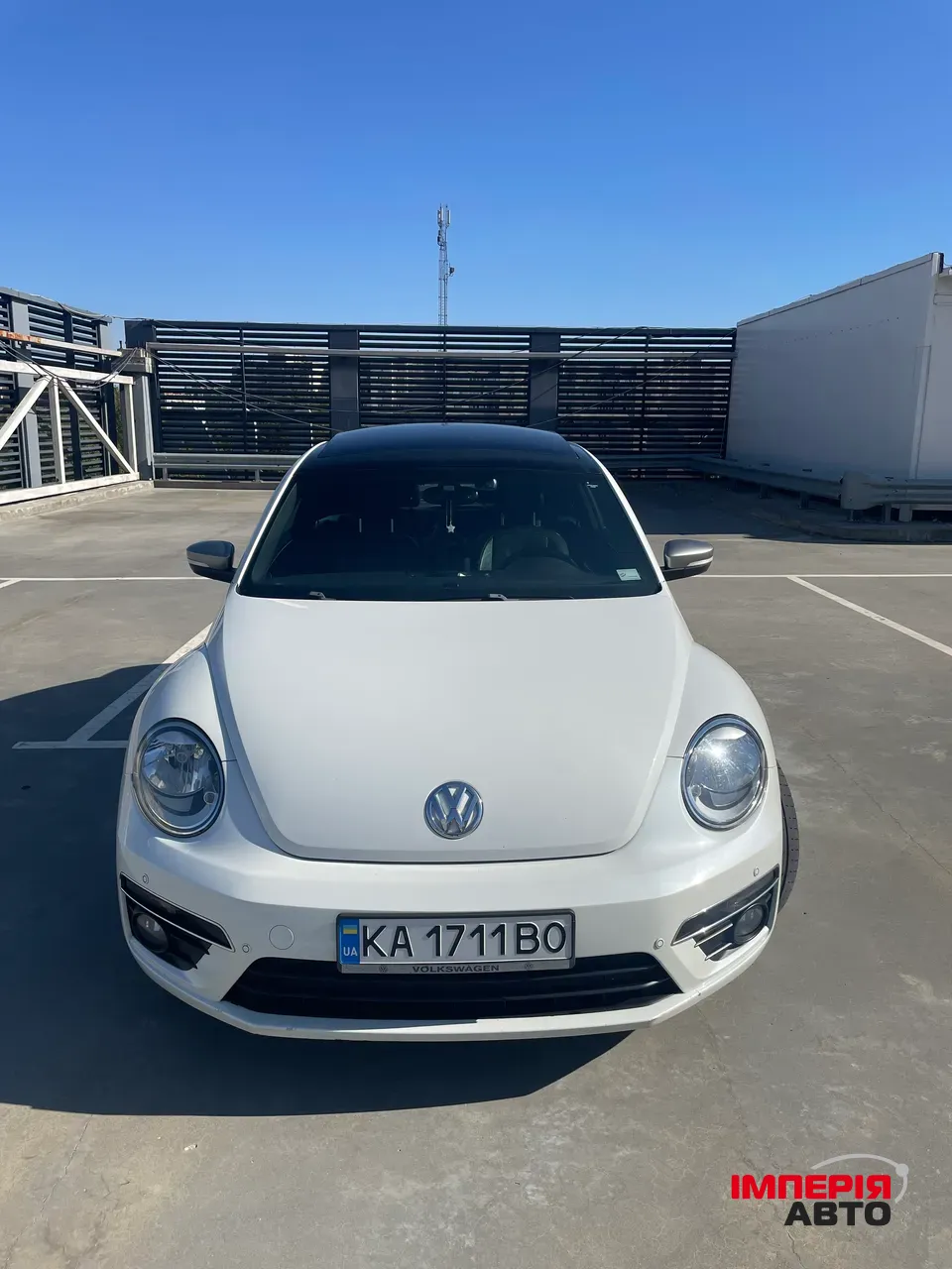 Volkswagen Beetle - фото 3