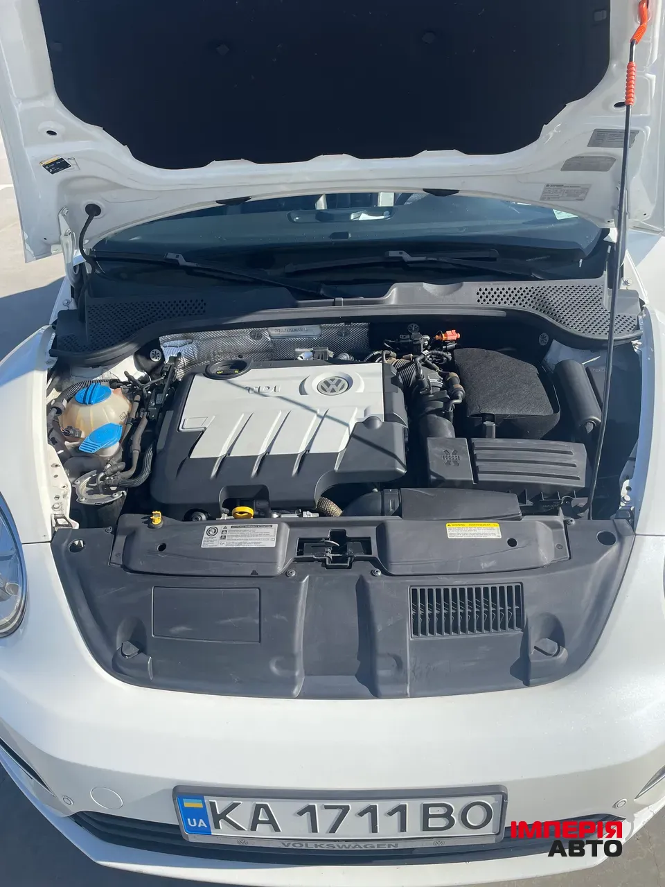 Volkswagen Beetle - фото 13