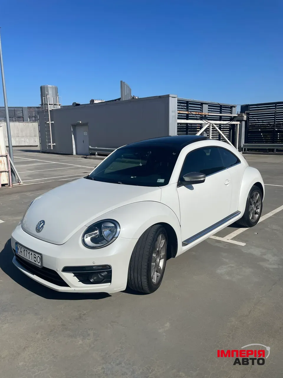Volkswagen Beetle - фото 2