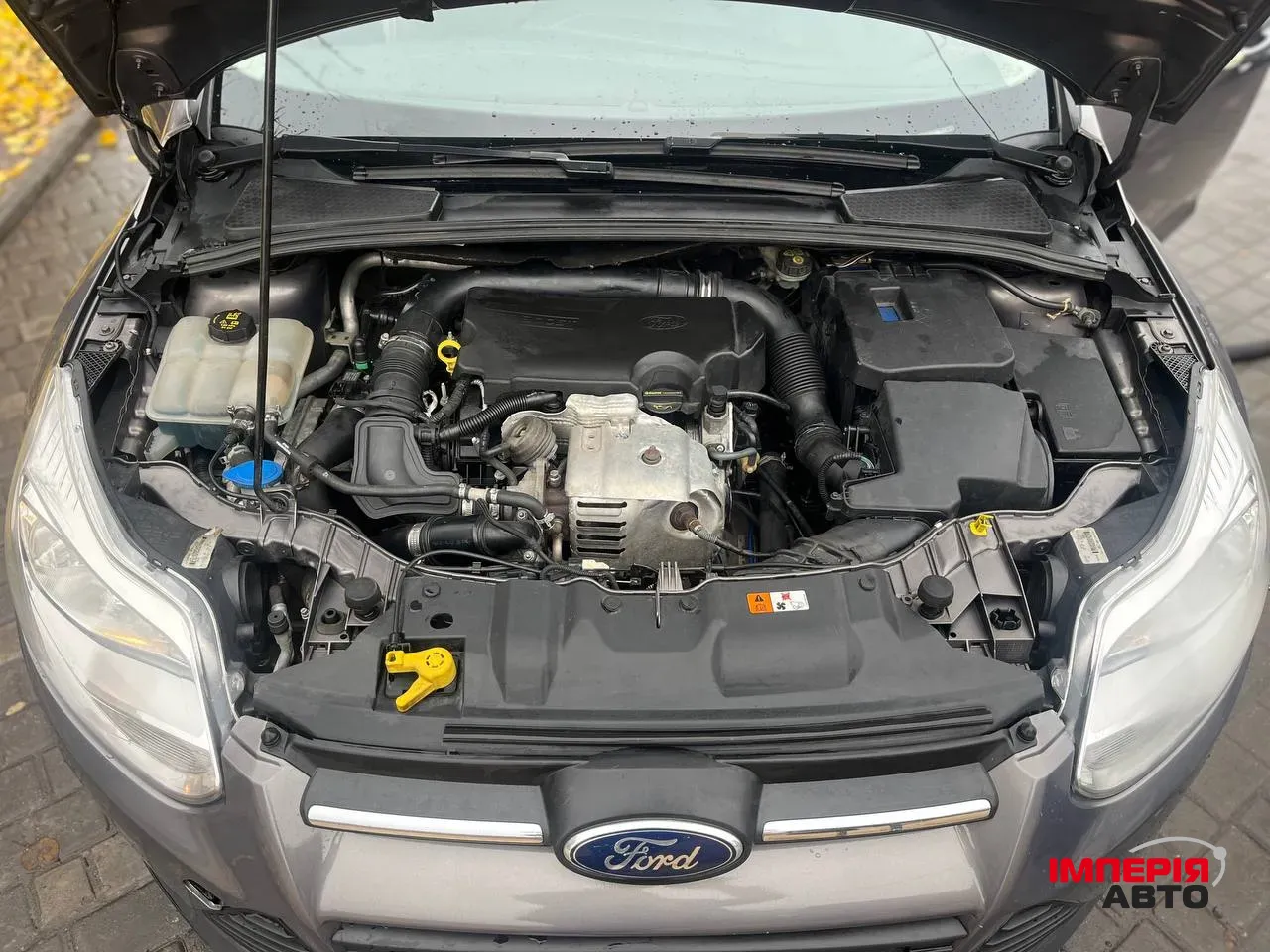 Ford Focus - фото 3