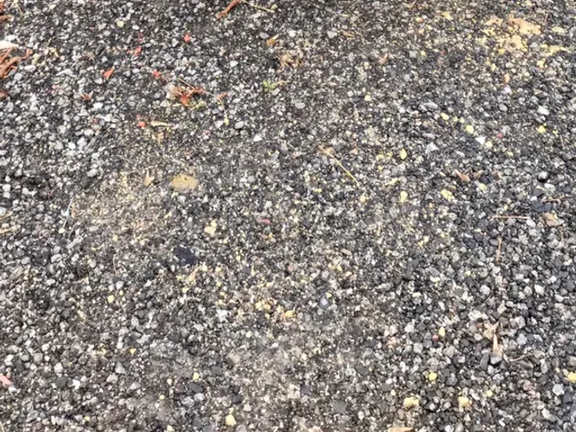 Skoda Fabia - фото 3