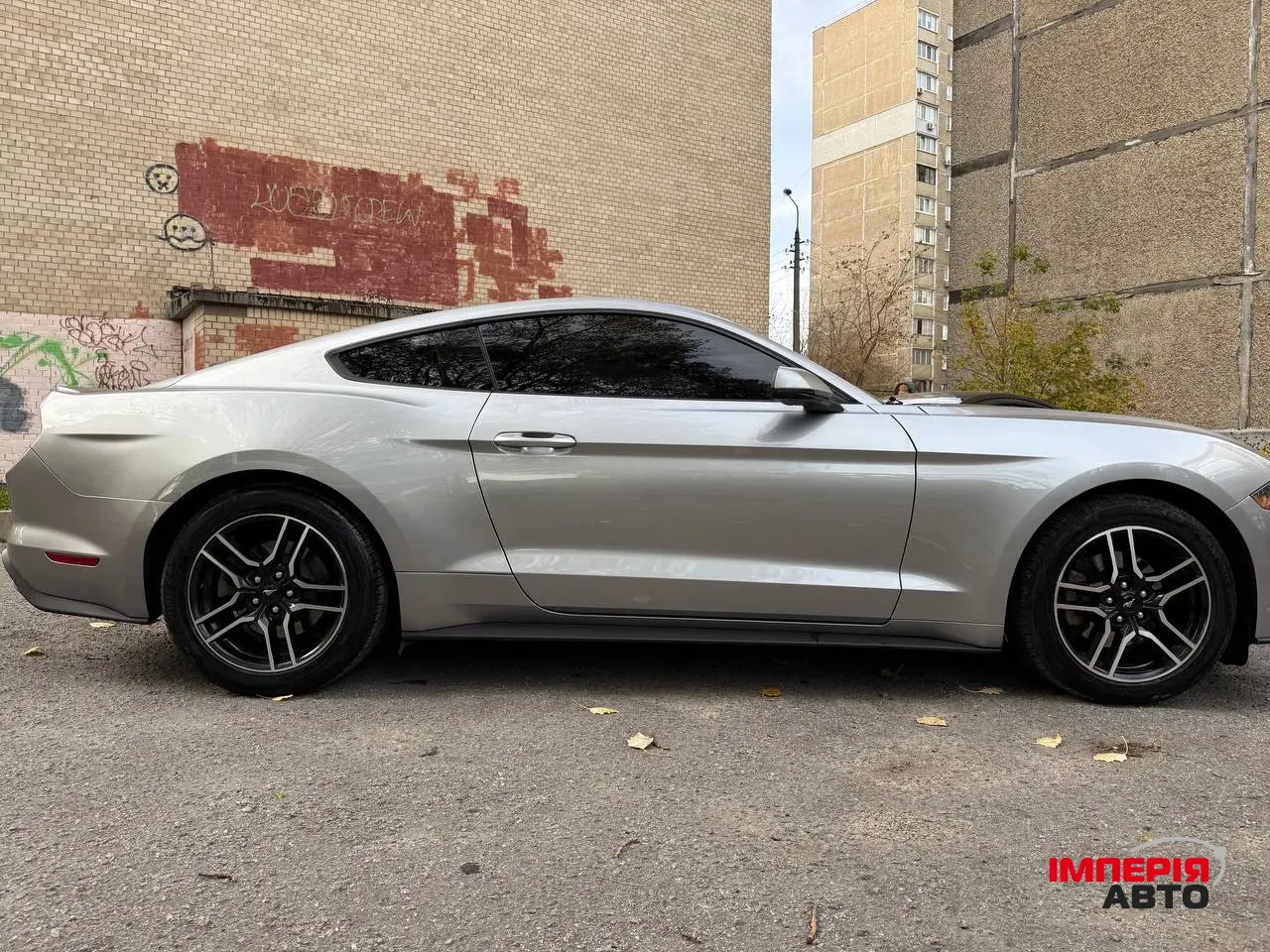 Ford Mustang - фото 15