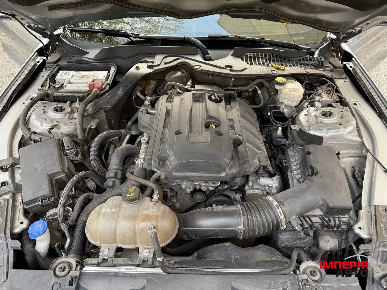 Ford Mustang - фото 24