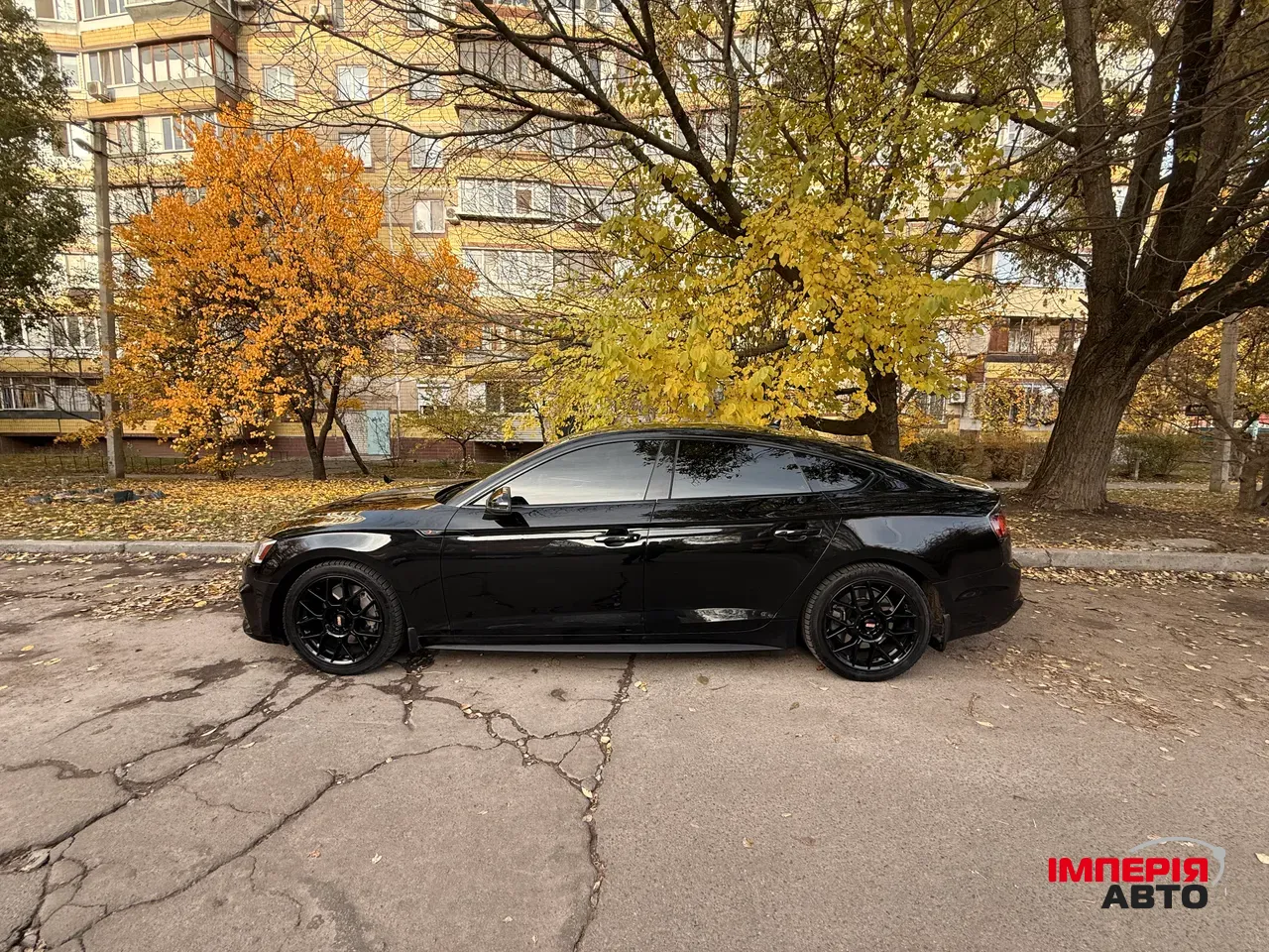 Audi A5 - фото 4