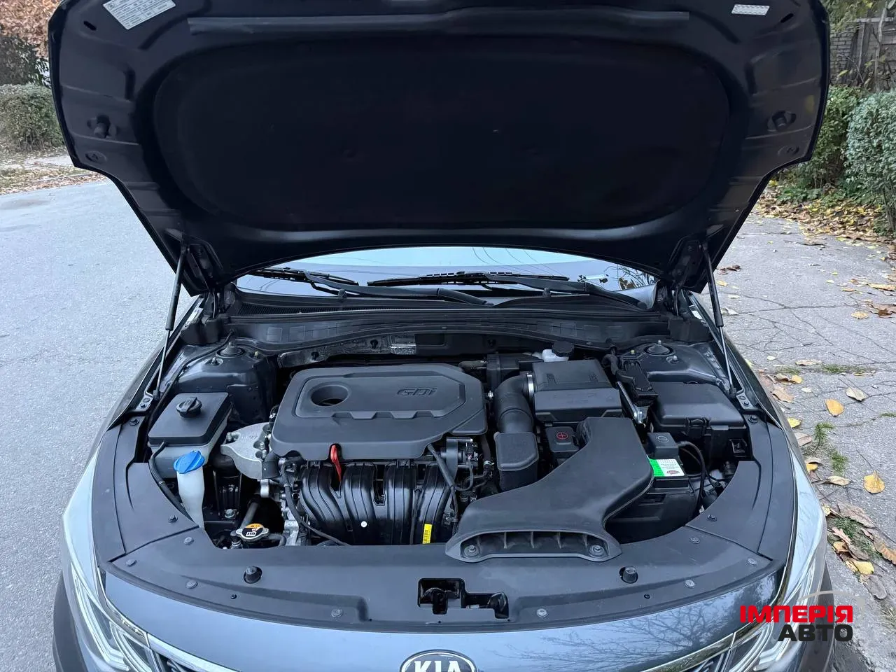 Kia Optima - фото 17