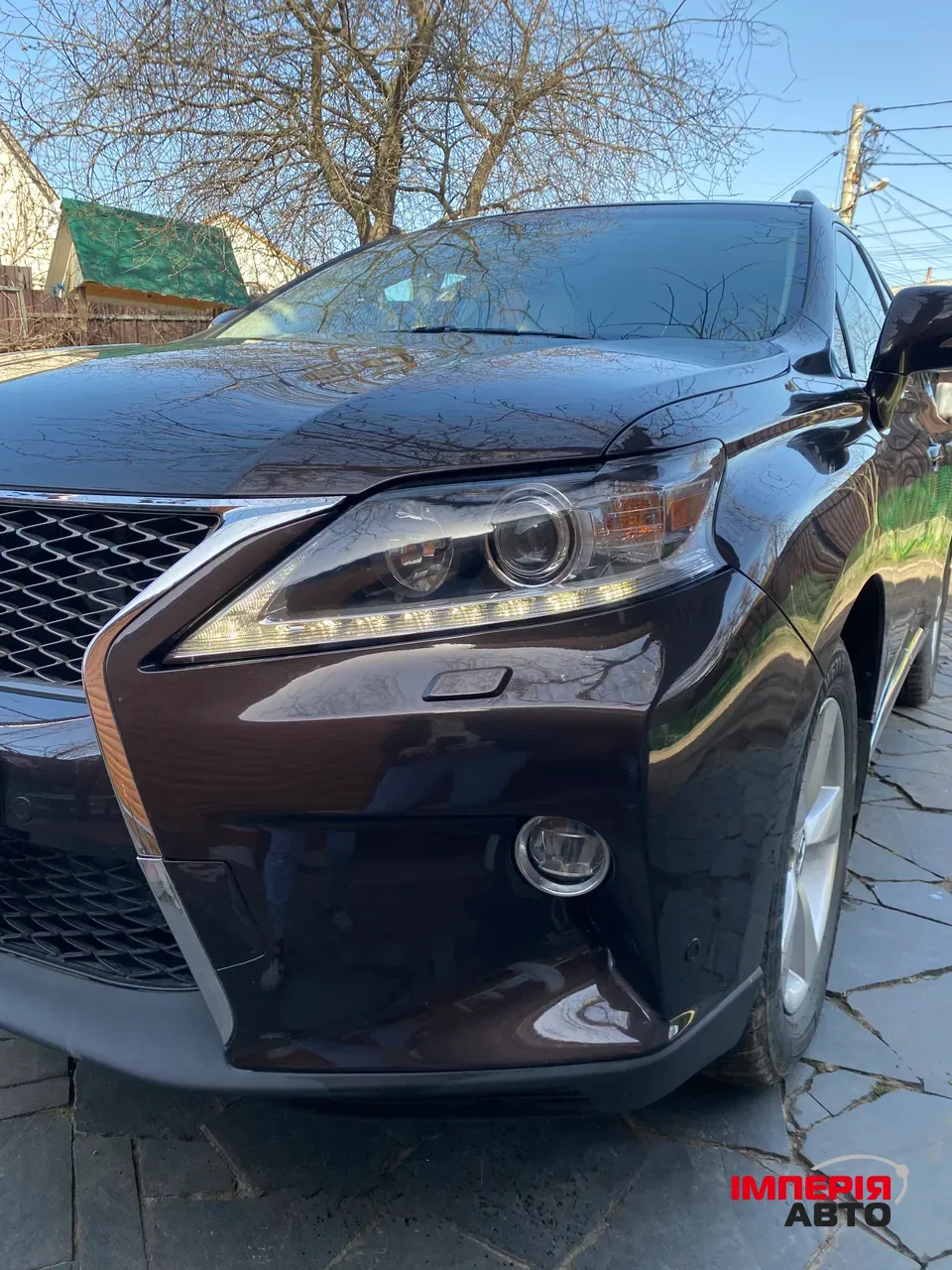 Lexus RX - фото 23