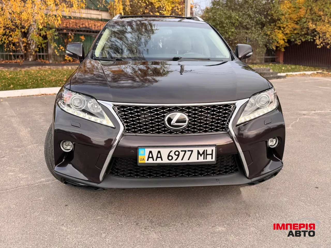 Lexus RX - фото 6