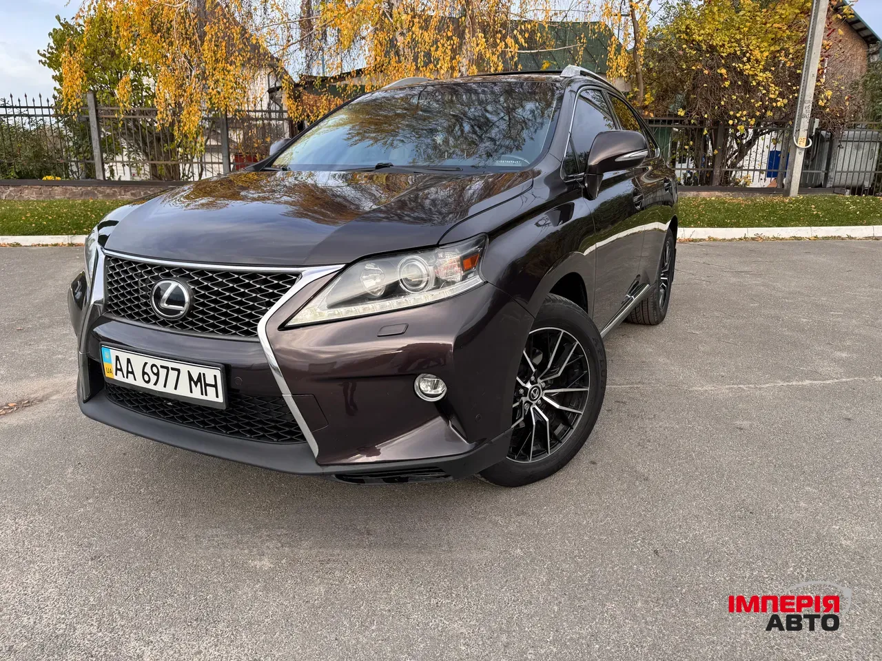Lexus RX - фото 1