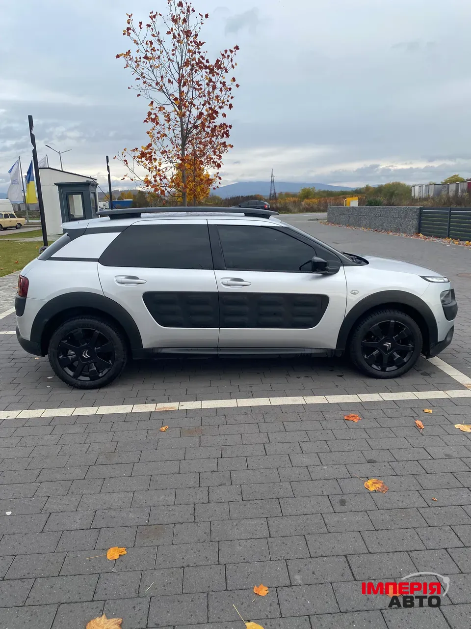 Citroen C4 Cactus - фото 6