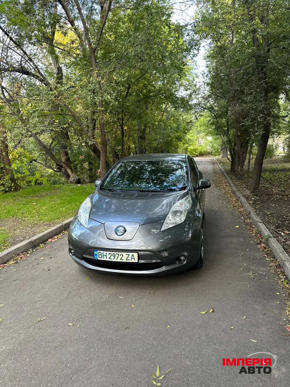 Nissan Leaf - фото 1