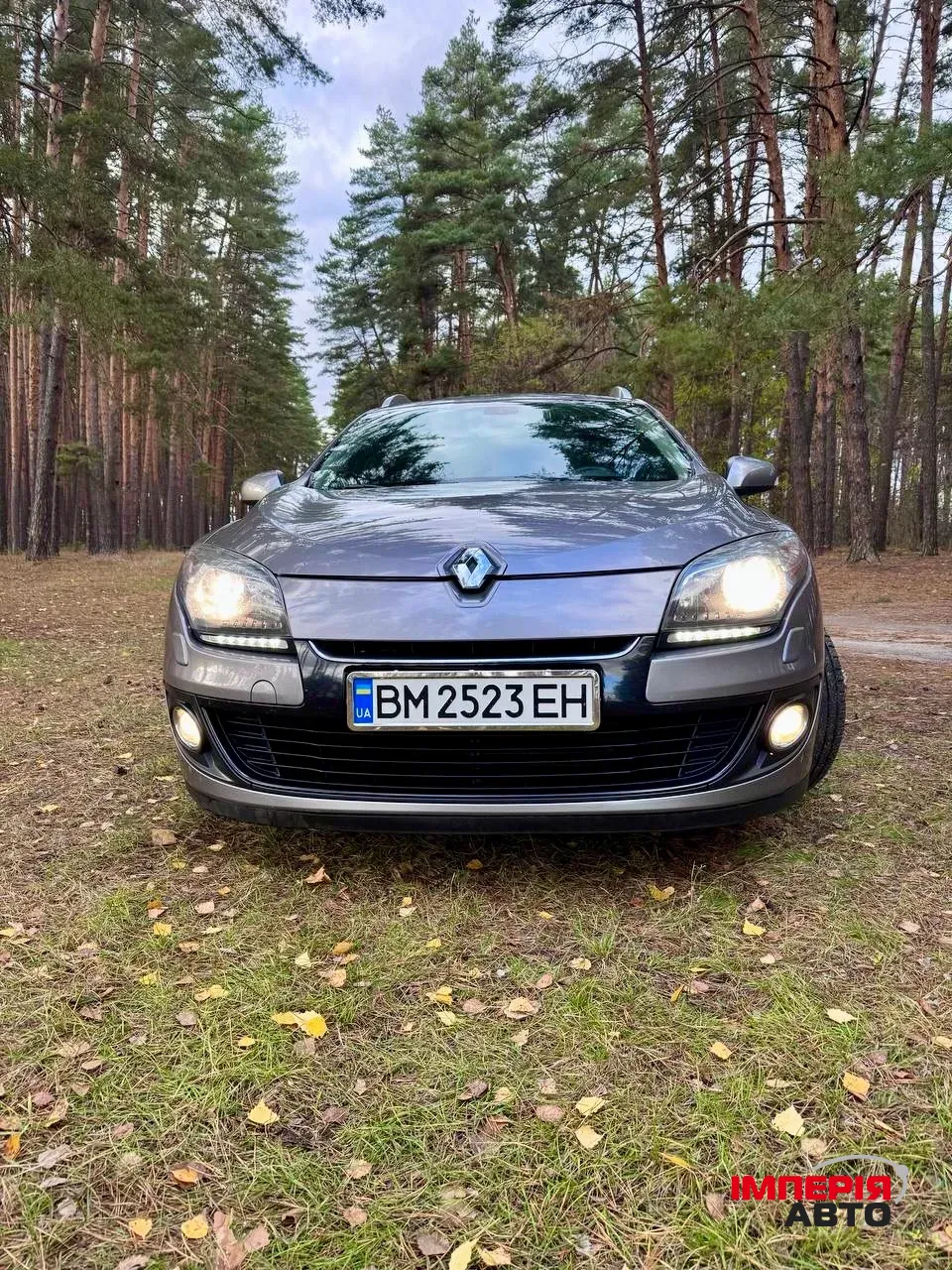 Renault Megane - фото 9