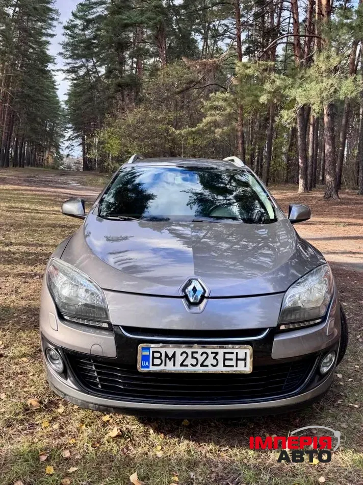 Renault Megane - фото 1