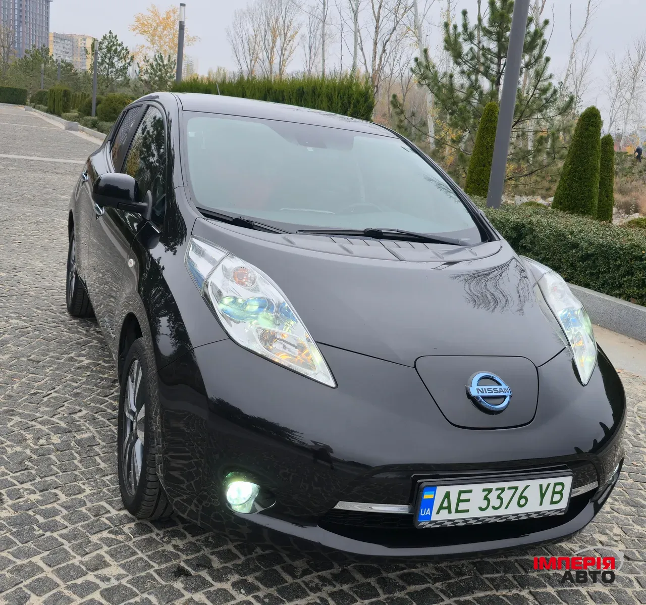 Nissan Leaf - фото 1