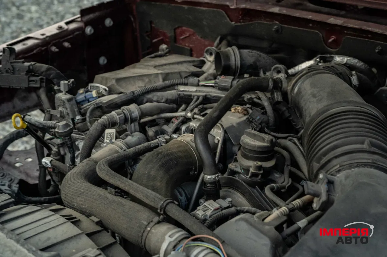 Jeep Wrangler - фото 45