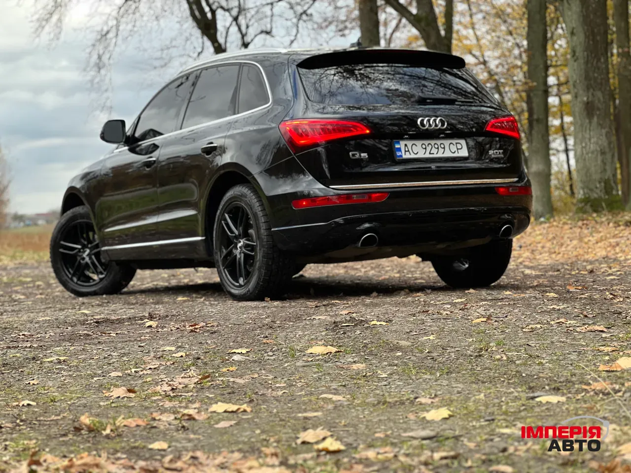 Audi Q5 - фото 8