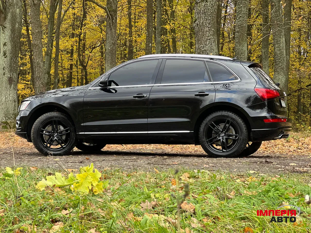 Audi Q5 - фото 11