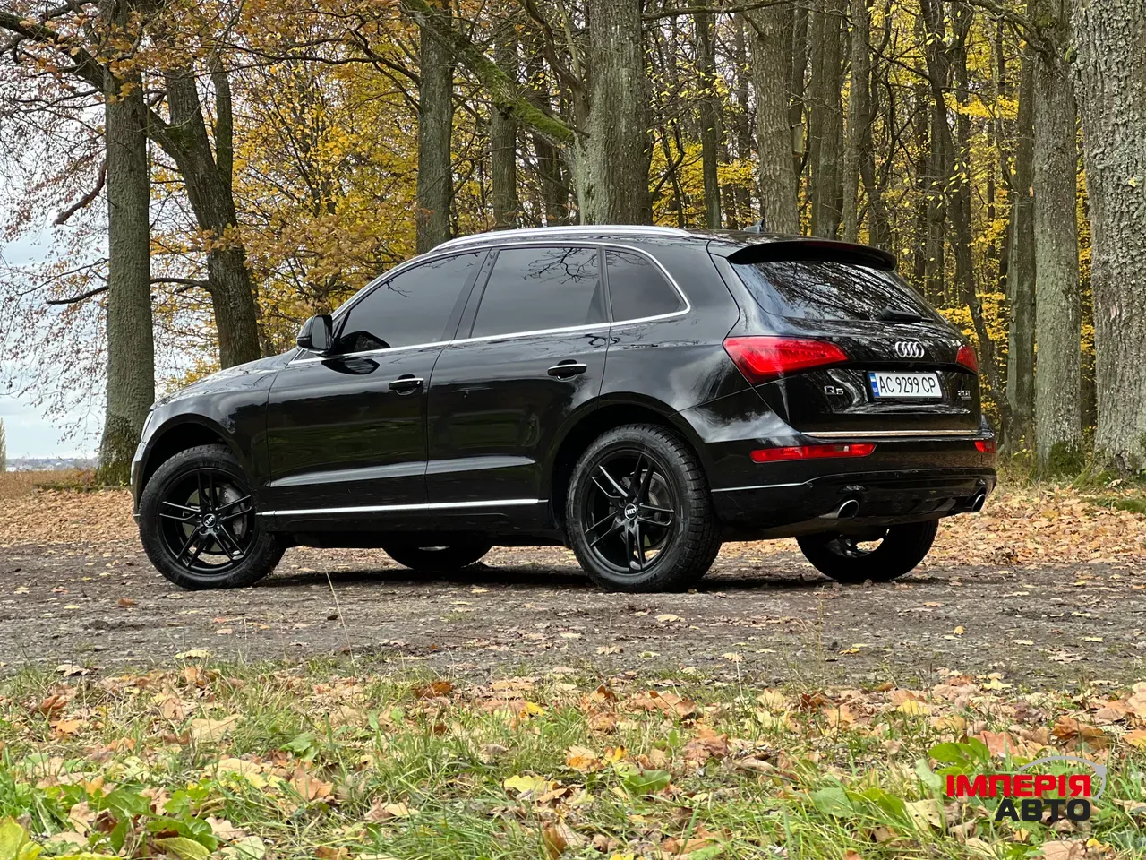 Audi Q5 - фото 12