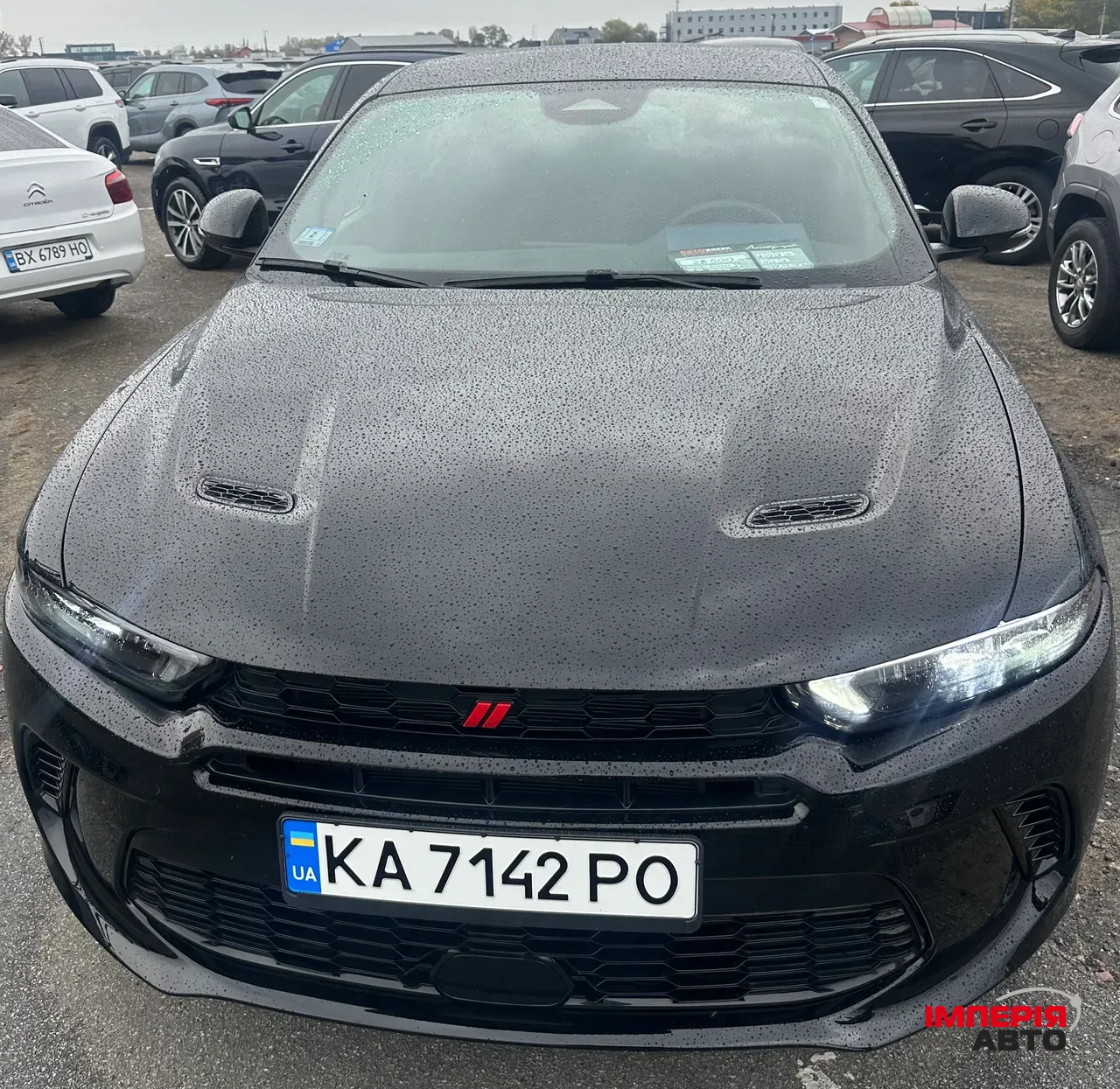 Dodge Hornet - фото 5