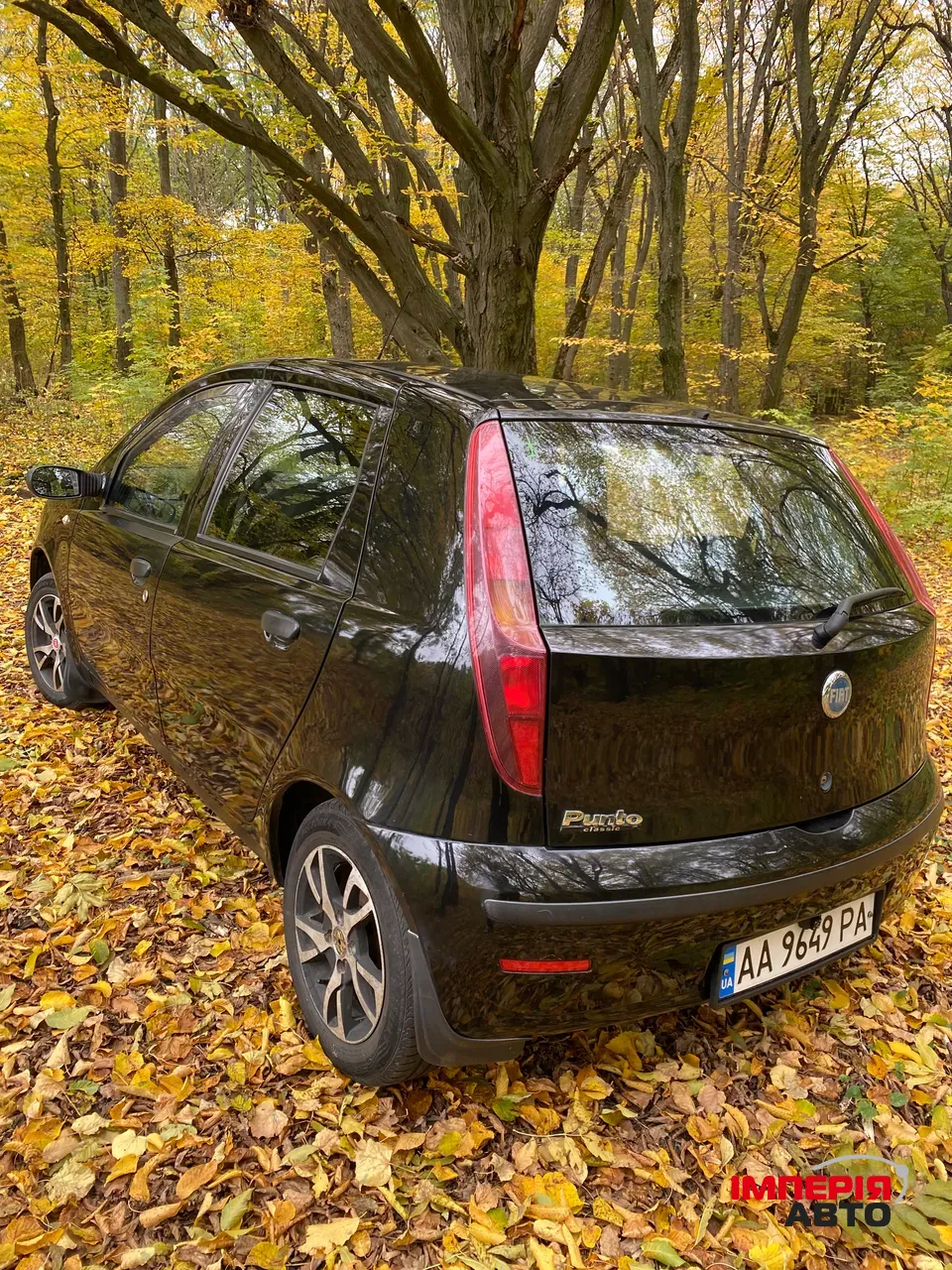 Fiat Punto - фото 3