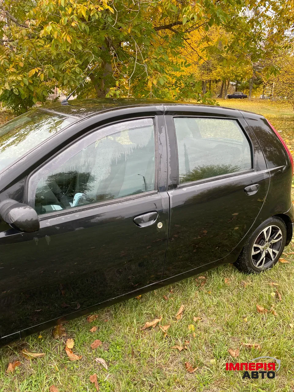 Fiat Punto - фото 12