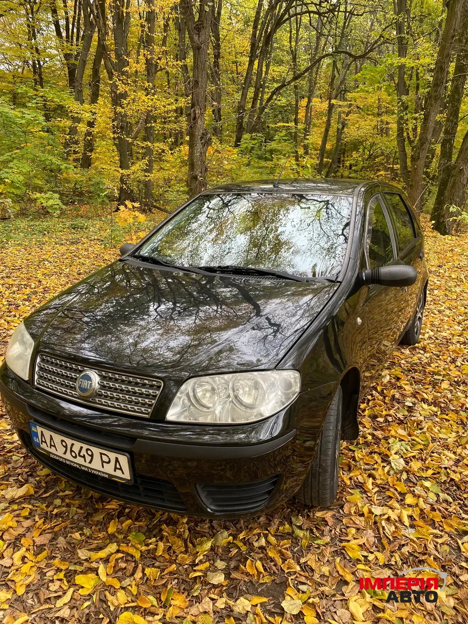 Fiat Punto - фото 5