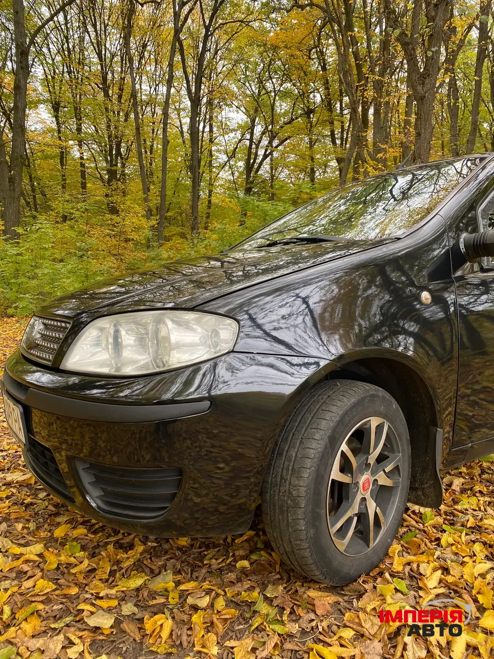 Fiat Punto - фото 4