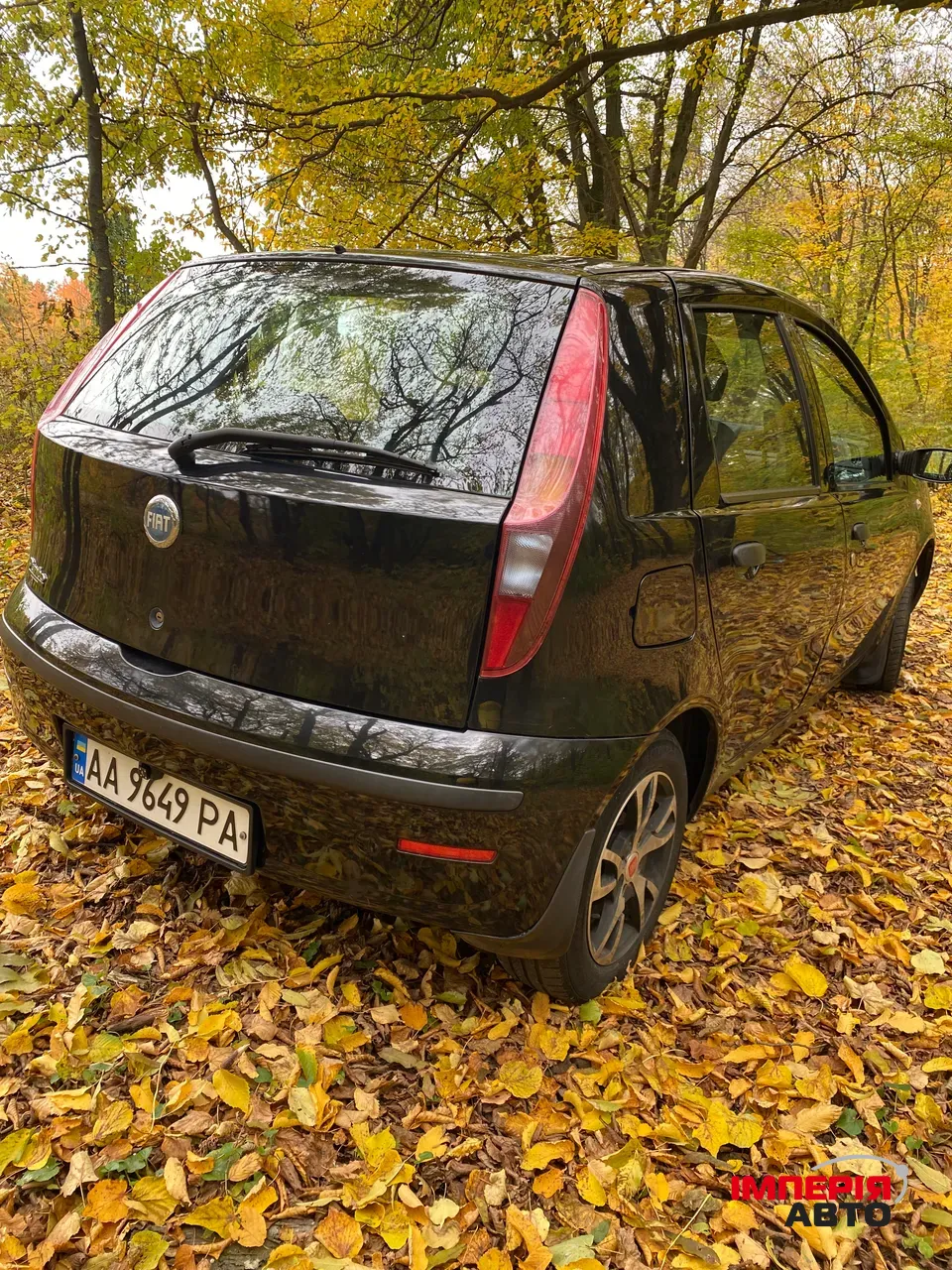 Fiat Punto - фото 2