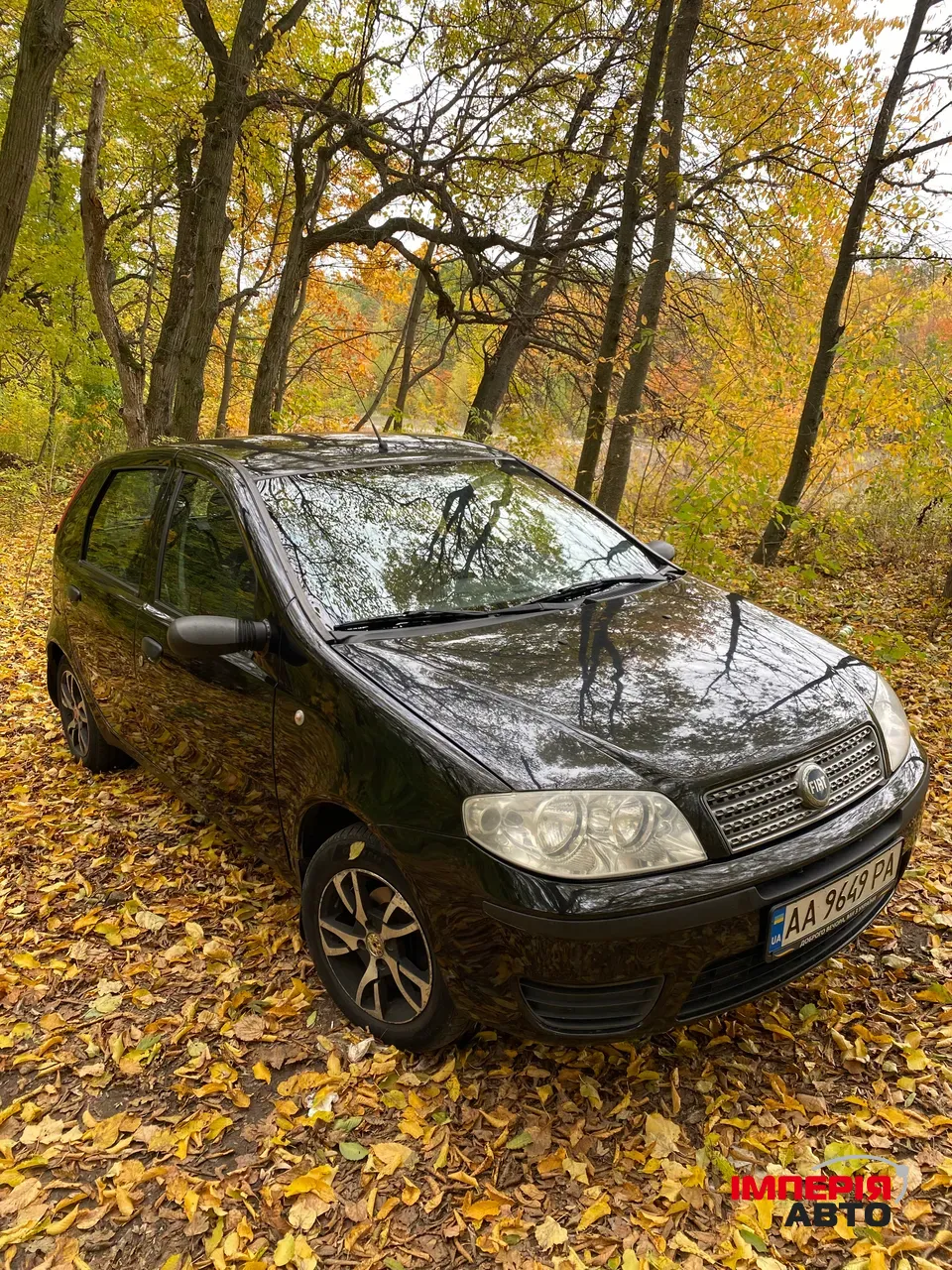 Fiat Punto - фото 1