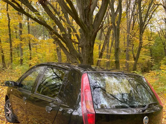 Fiat Punto - фото 3
