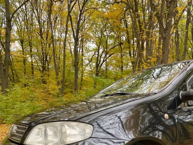 Fiat Punto - фото 4