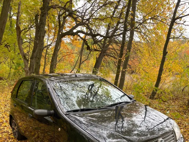 Fiat Punto - фото 1