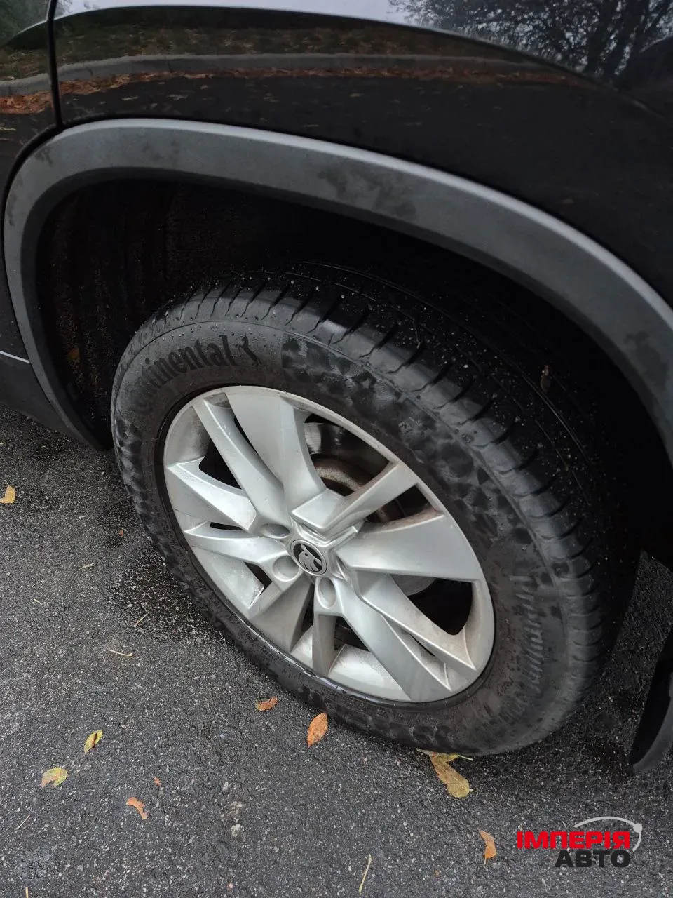 Skoda Kodiaq - фото 14