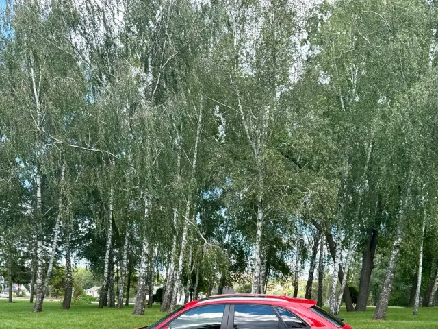 Audi Q3 - фото 3