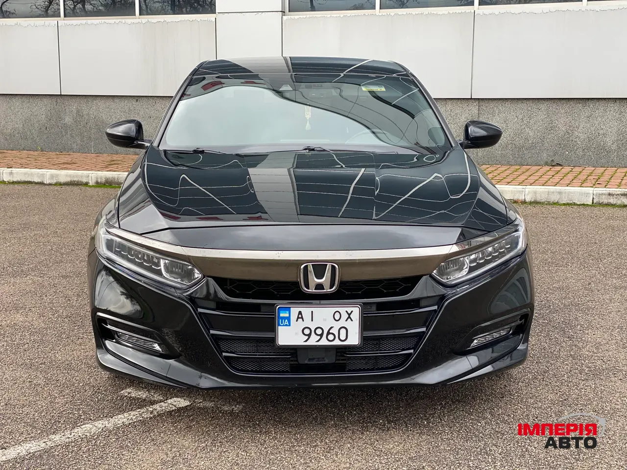 Honda Accord - фото 2