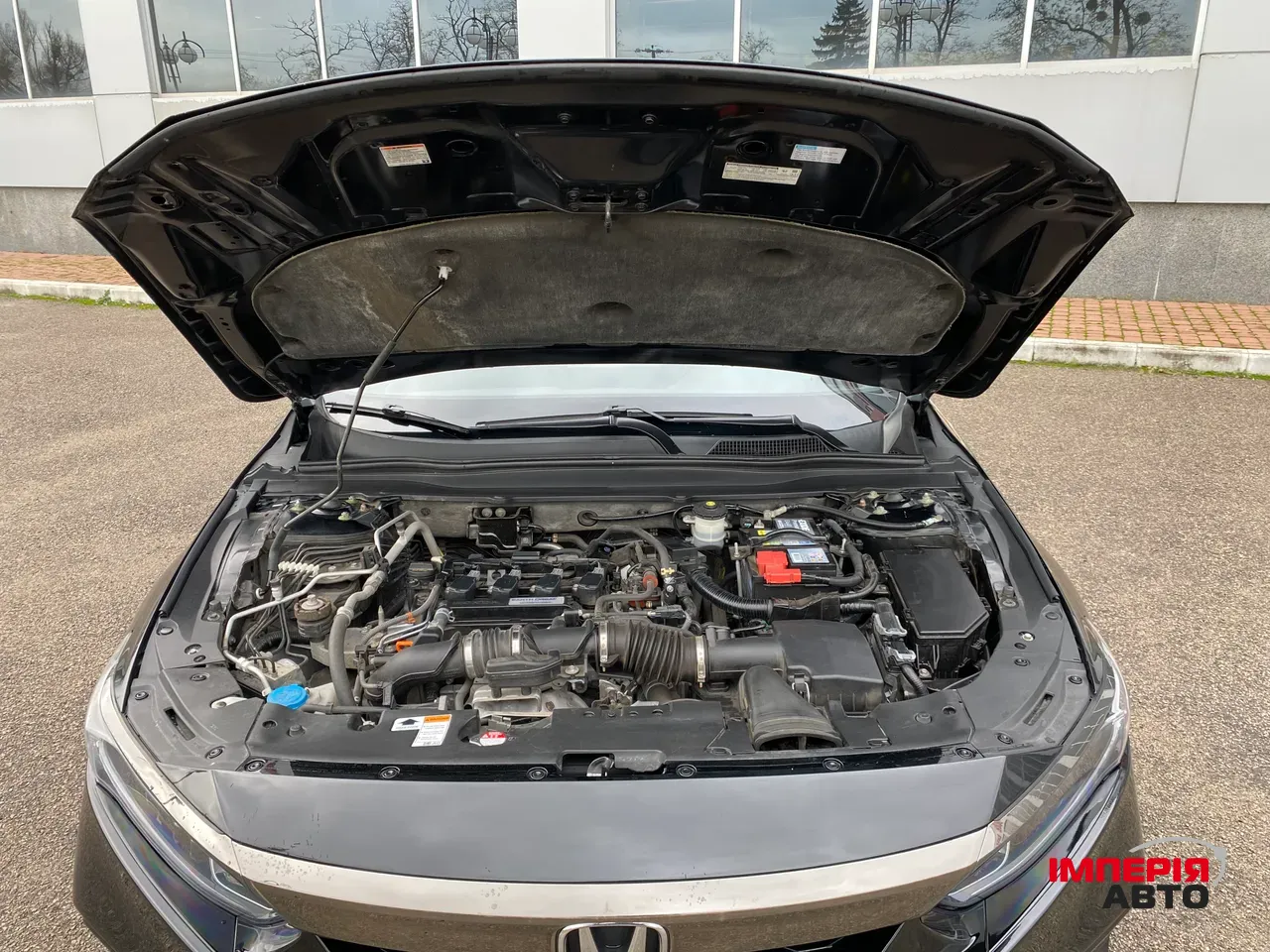 Honda Accord - фото 13