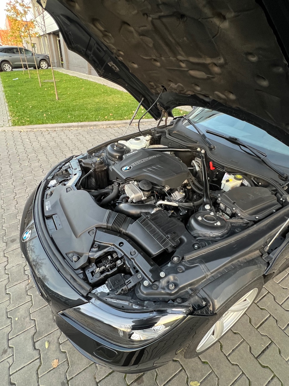 BMW Z4 - фото 11