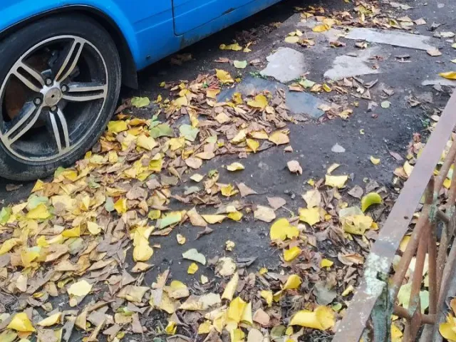 Lada (ВАЗ) 2107 - фото 2