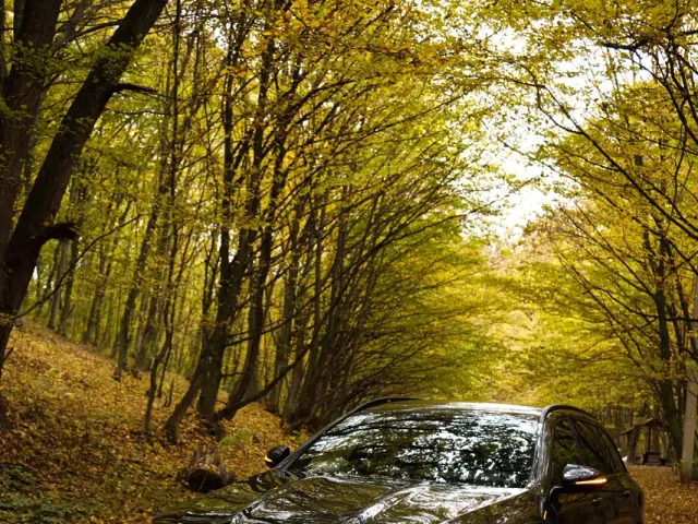 Mercedes-Benz E-Класс - фото 2