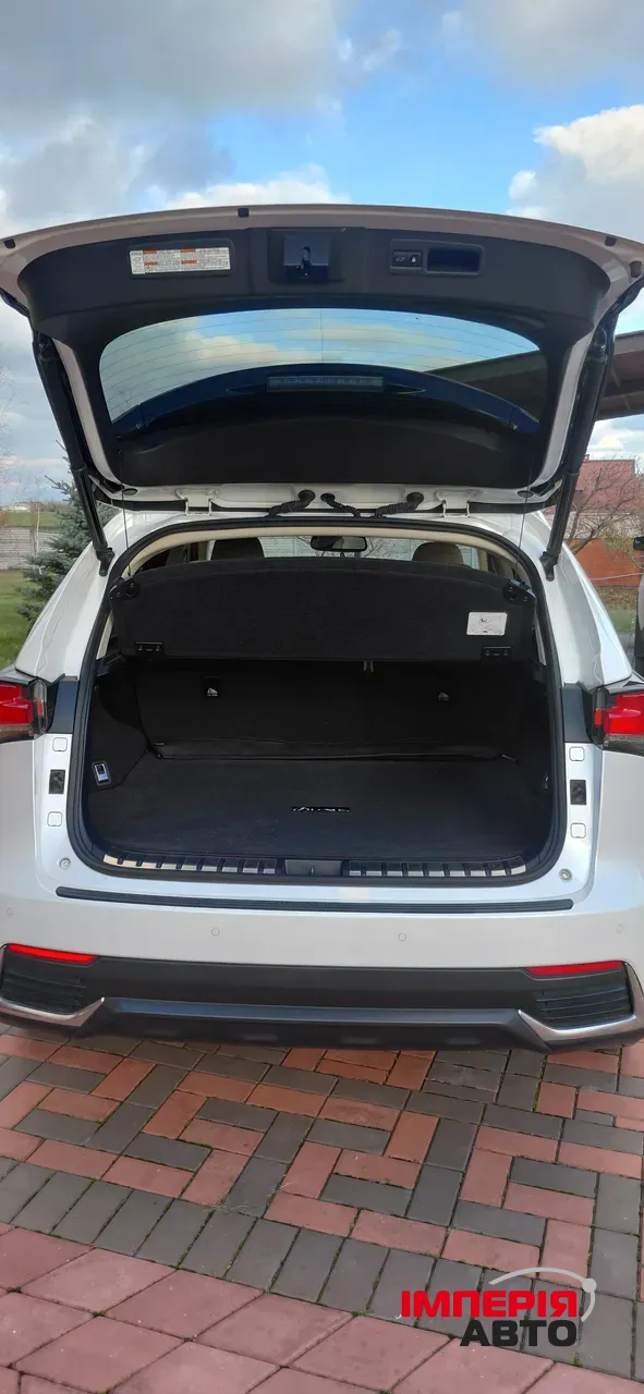 Lexus NX - фото 23