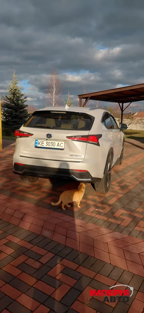 Lexus NX - фото 6