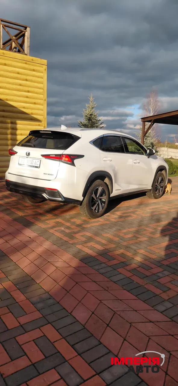 Lexus NX - фото 7