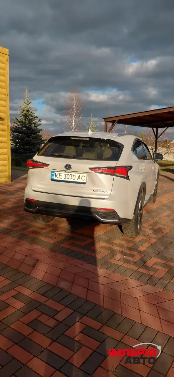 Lexus NX - фото 5