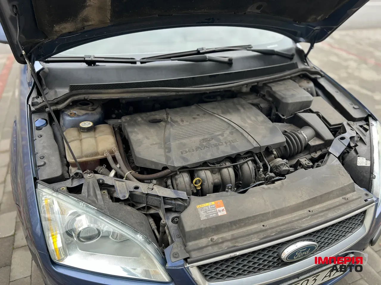 Ford Focus - фото 13