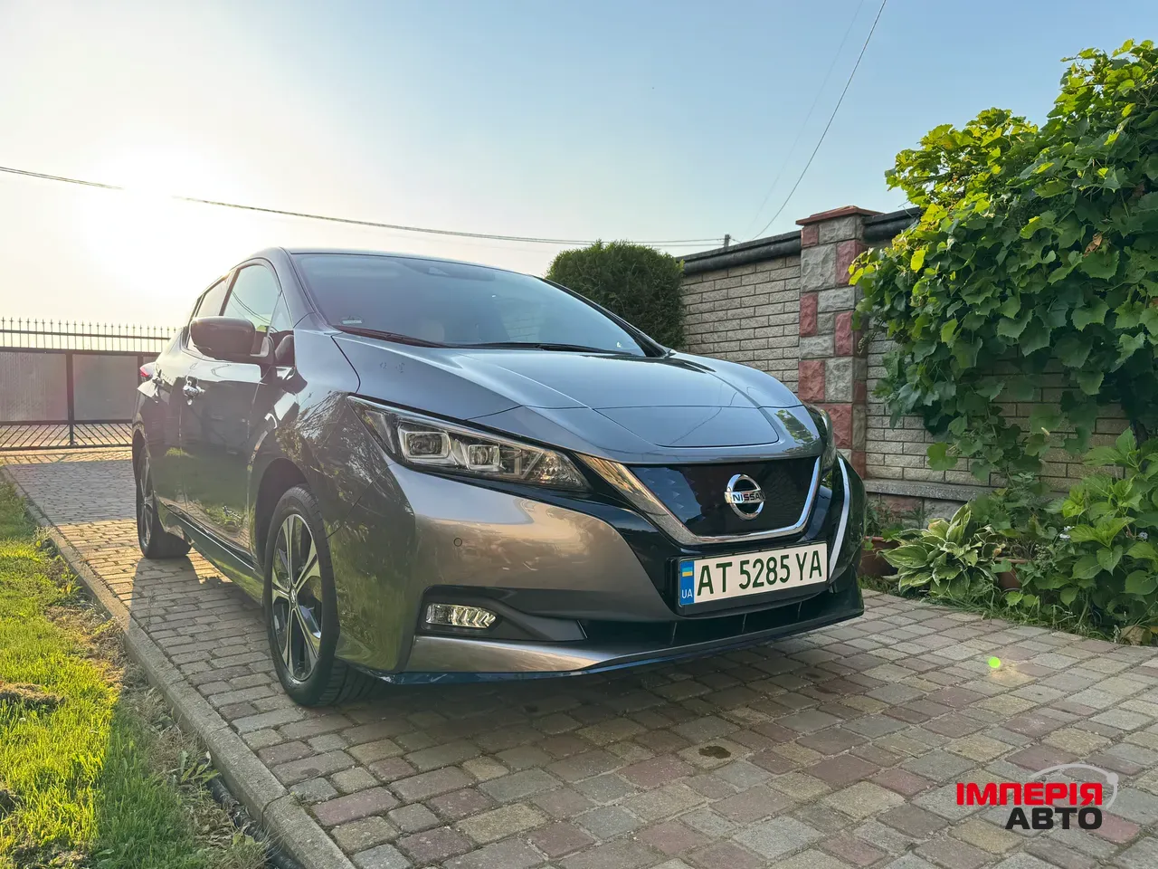 Nissan Leaf - фото 1