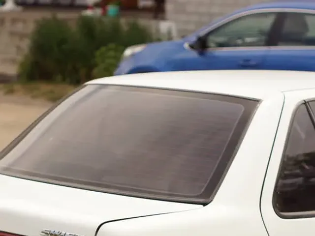 Suzuki Swift - фото 4