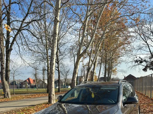 Skoda Superb - фото 1