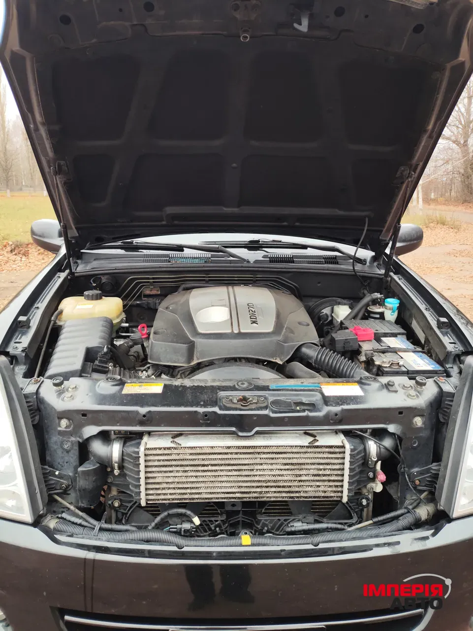 SsangYong Rexton - фото 13