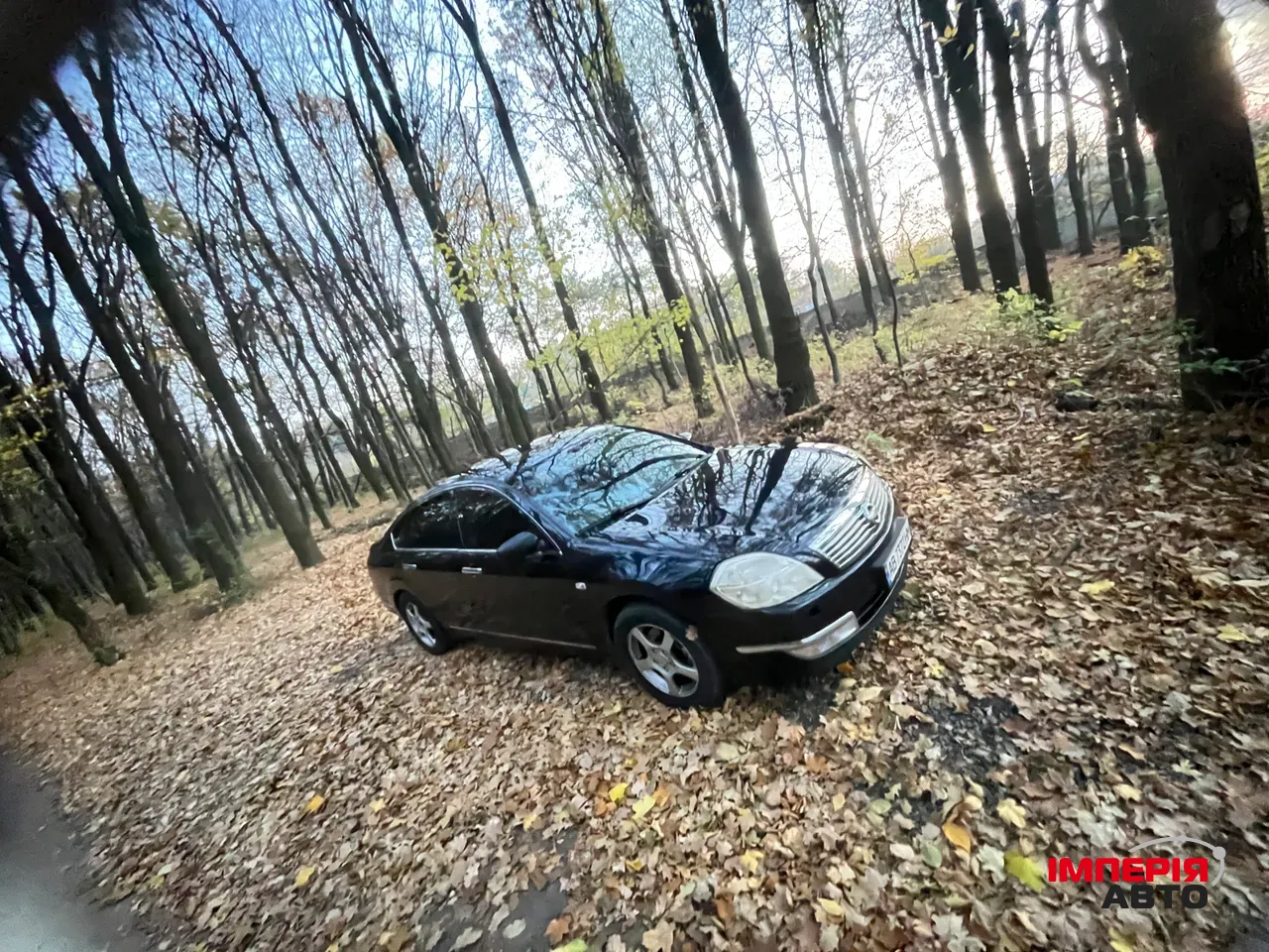 Nissan Teana - фото 9